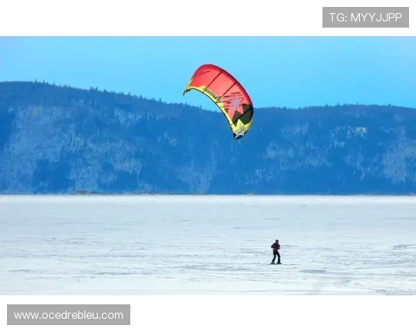 赢点体育如何通过专业训练帮助运动爱好者突破自我极限实现运动目标