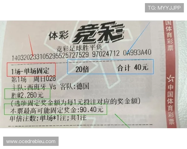 世界杯竞猜彩票线上购买app推荐，安全便捷的购彩平台全攻略