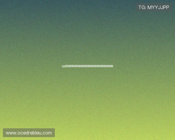 ag视讯集团携手顶级体育平台打造世界杯专题报道实现全球观众的多角度体验
